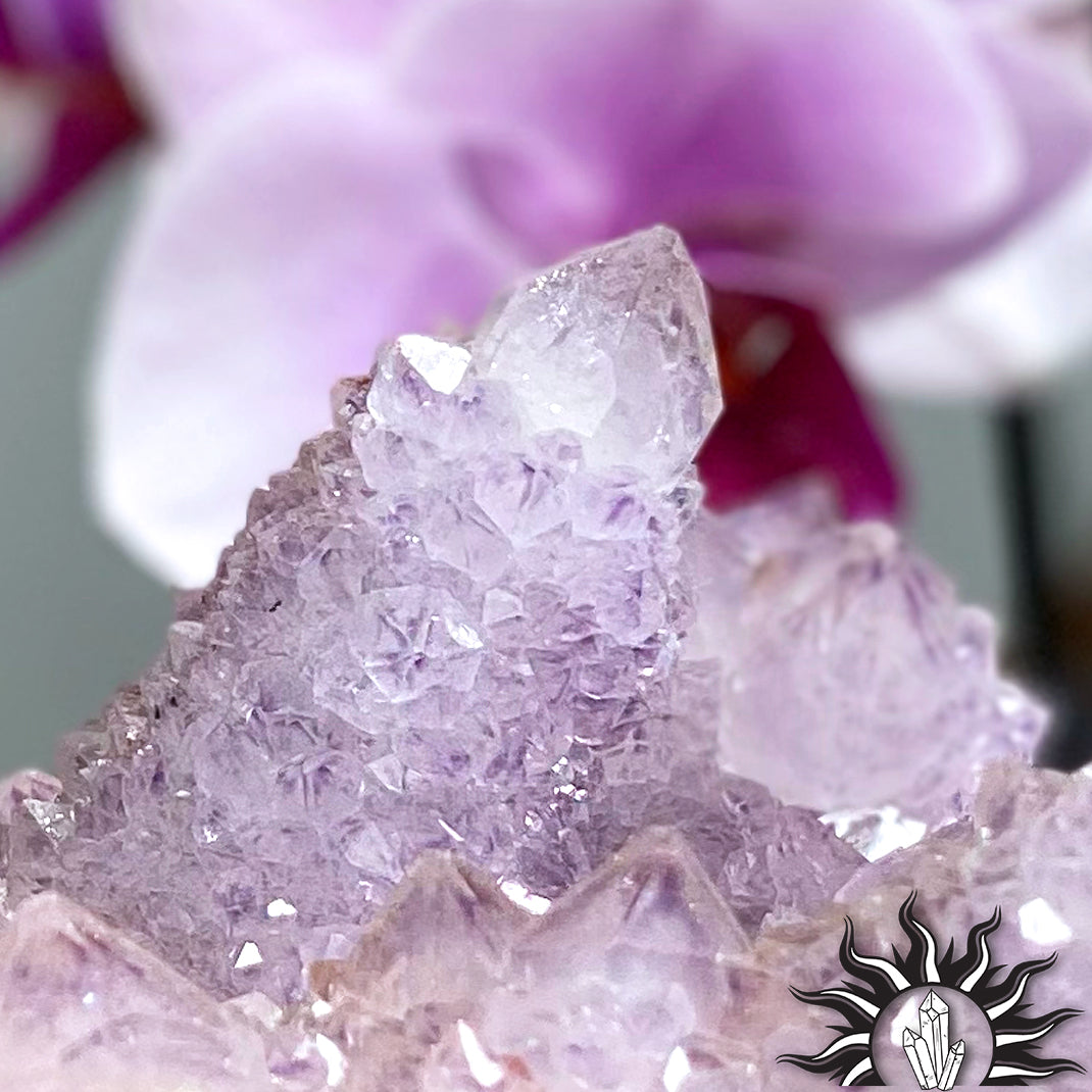 Cactus Amethyst Specimen XL – Glowing Candle