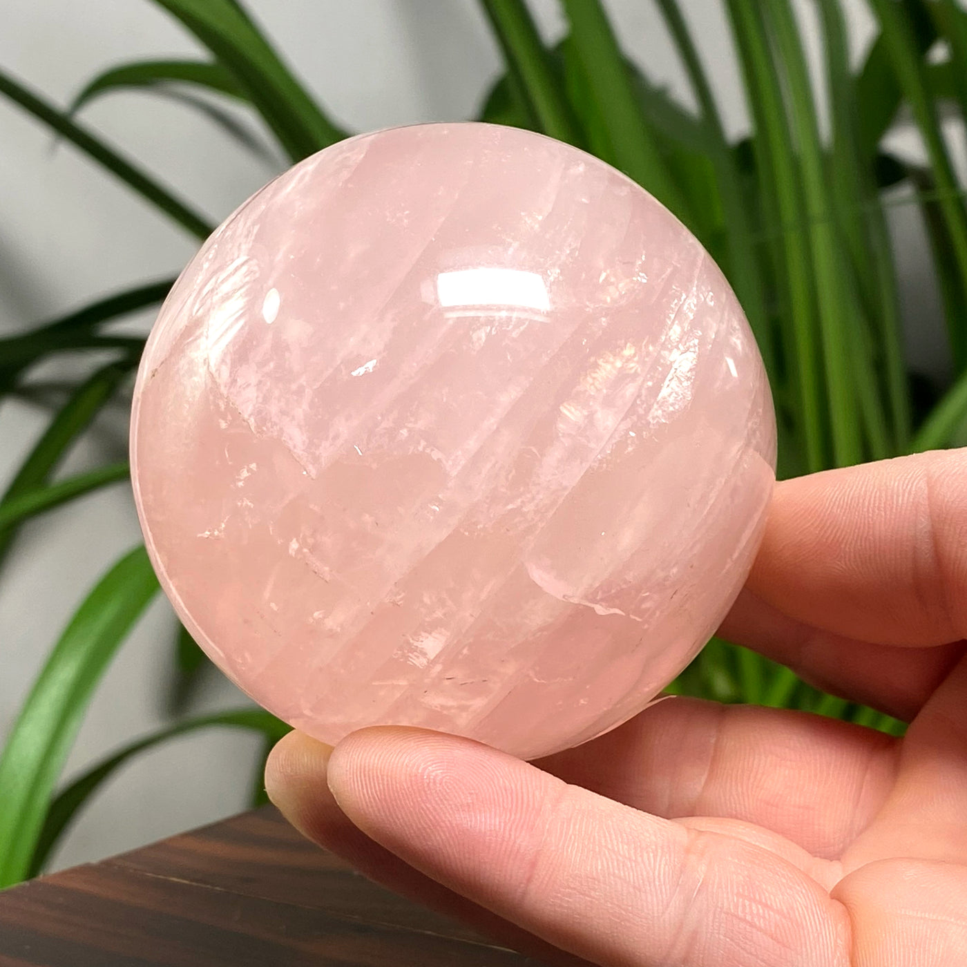 Rose Quartz Sphere 2.5"